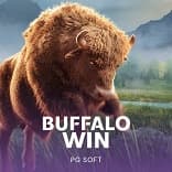 Buffalo Win